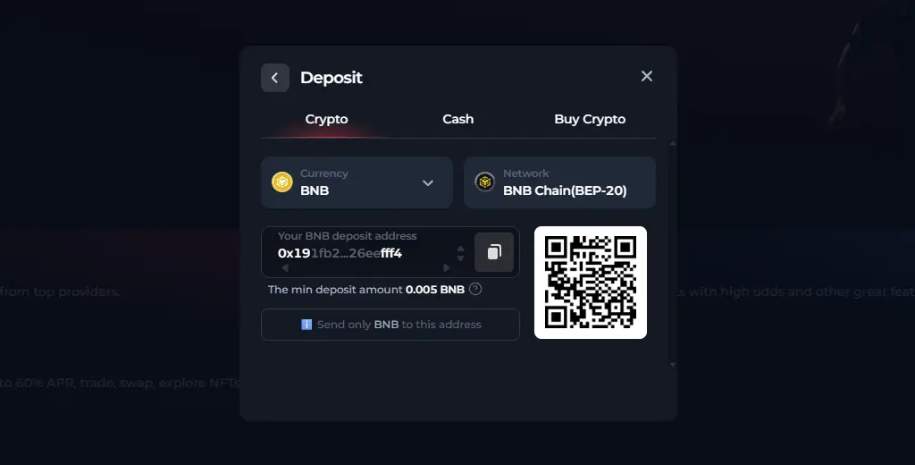 BetFury Casino BNB BEP-20 deposit interface 2026