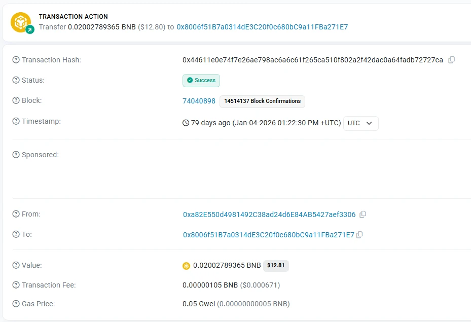 BscScan deposit transaction confirmation example