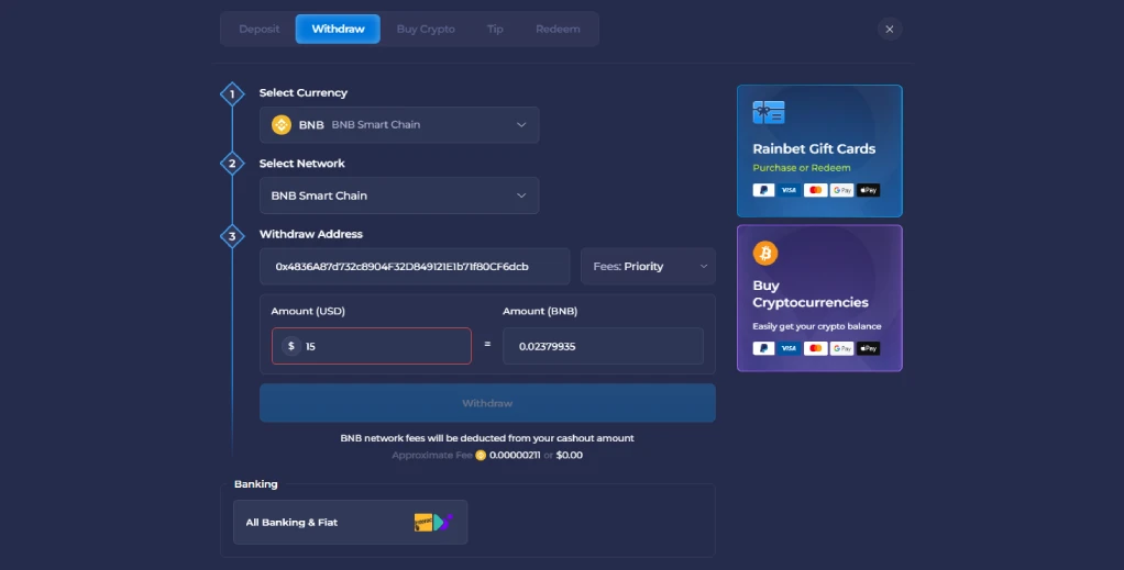 Rainbet casino bnb bep20 withdrawal cashier interface