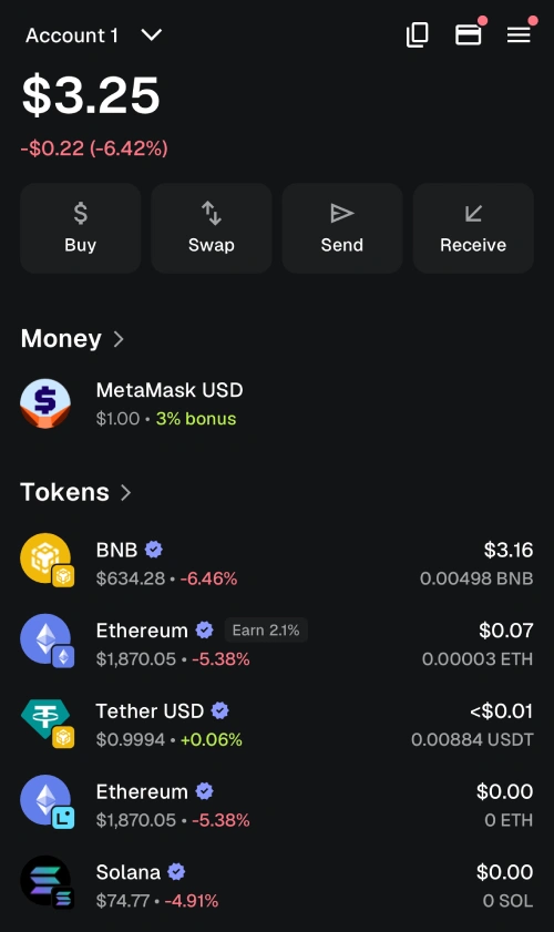 How to use MetaMask for BNB showing the wallet with BNB Smart Chain network added for casino play